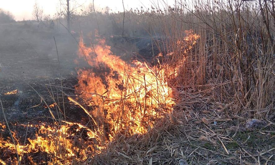 У квітні на Полтавщині вогонь знищив понад 280 гектарів сухої трави та очерету