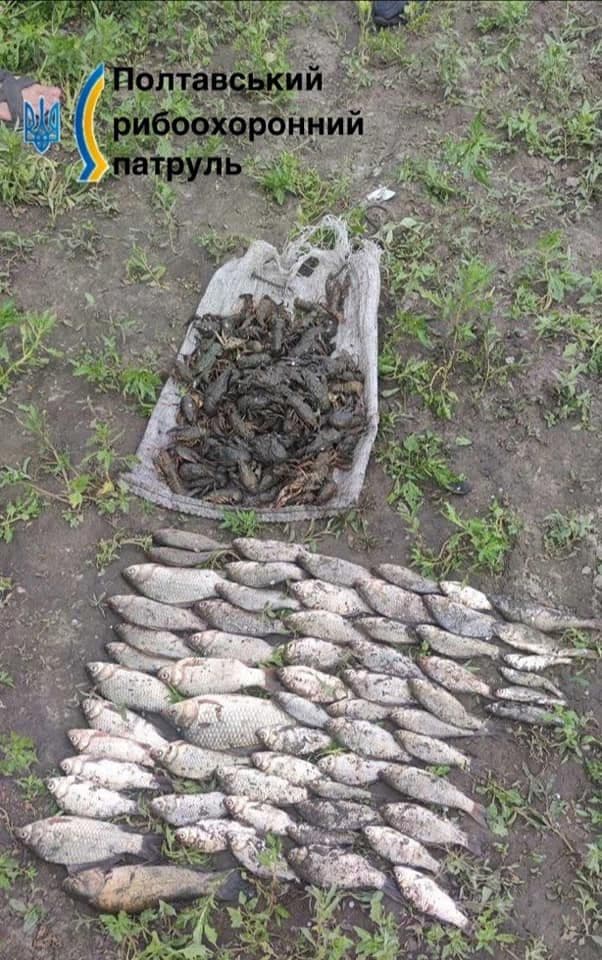 На Полтавщині браконьєри наловили риби майже на пів мільйона