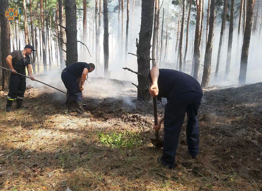 У Кременчуці горів ліс: рятувальників доправили човнами (фото)