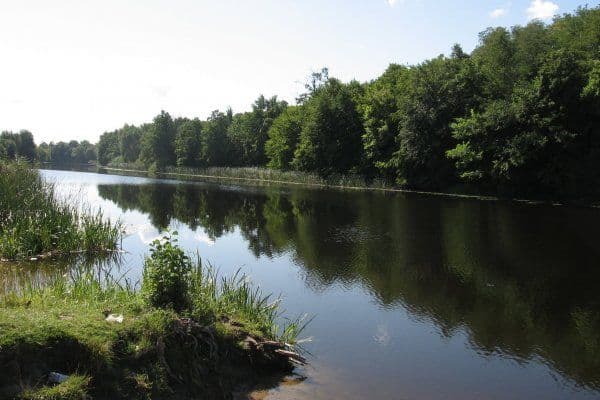 У водоймі на Полтавщині знайшли мертву харків'янку