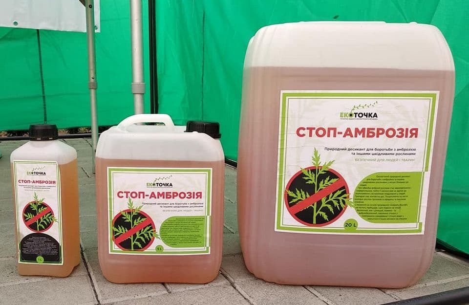 У 2021 році на знищення амброзії в Полтаві планують витратити до 4,1 мільйона гривень