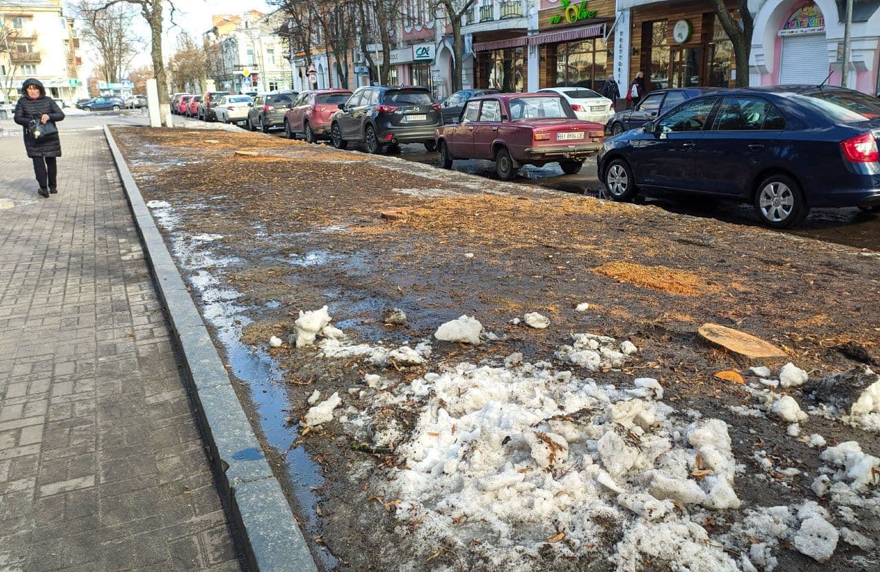 У Полтаві біля театру Гоголя комунальники планують висадити нові дерева (ФОТО)