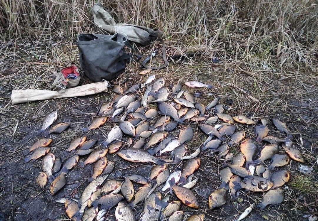 На Миргородщині вручили підозру браконьєру, який ловив червонокнижну рибу