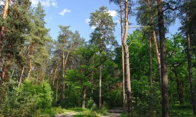 На Полтавщині проведуть інвентаризацію водних та лісових ресурсів