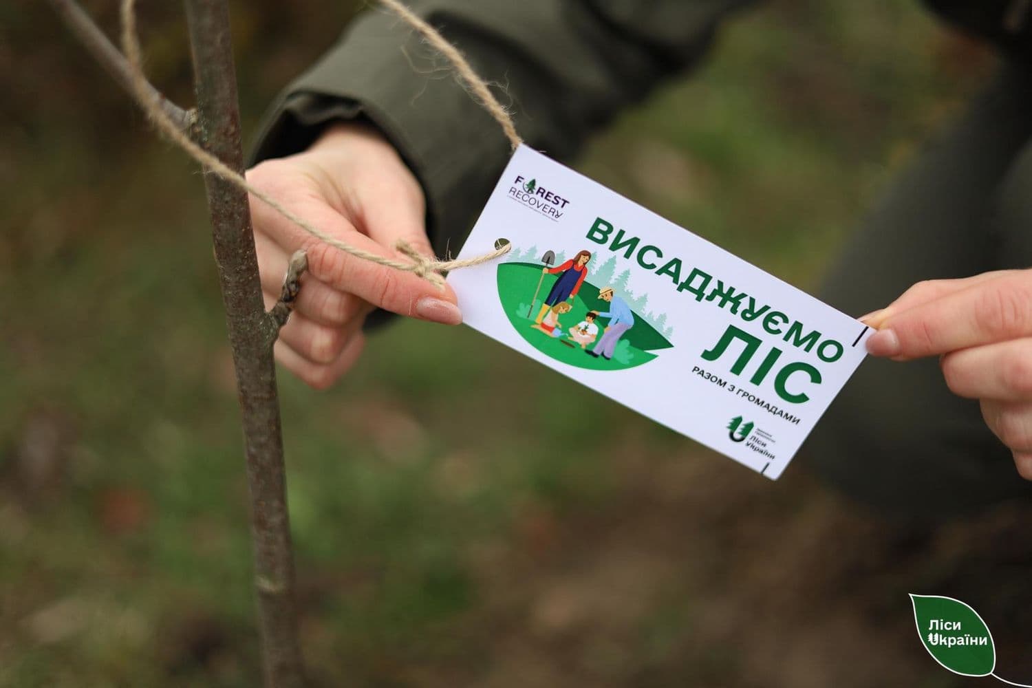 На Полтавщині висадять новий ліс