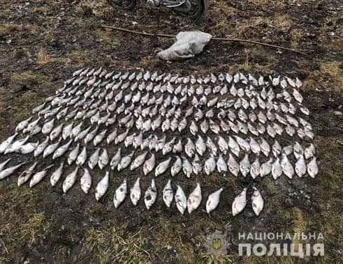 На Полтавщині з річки Сула рибалка незаконно виловив 38 кілограмів риби