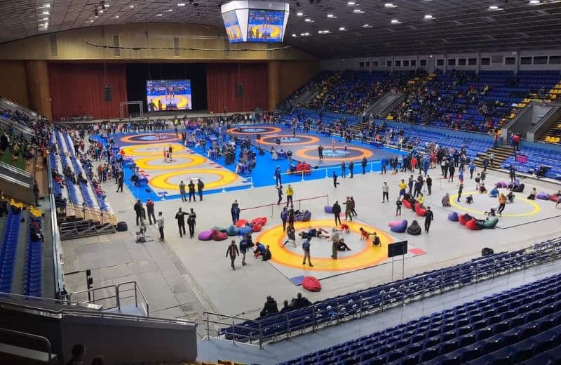 Спортсмени з Полтавщини вибороли чотири медалі на Чемпіонаті України з вільної боротьби