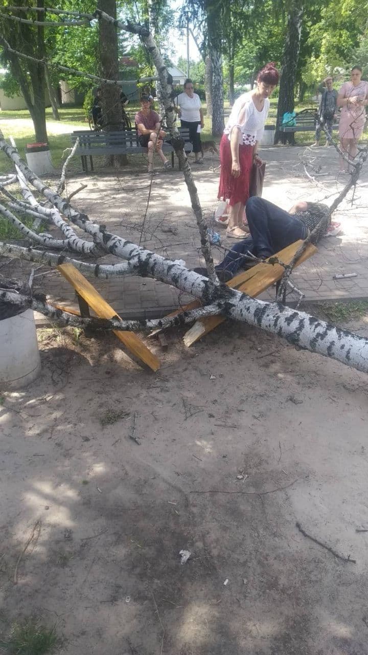 На Червоному Шляху дерево ледь не вбило людину