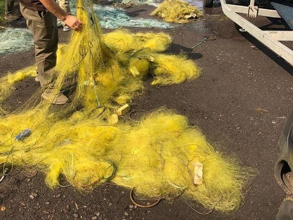 З водойми на Полтавщині дістали 20 браконьєрських сіток з рибою