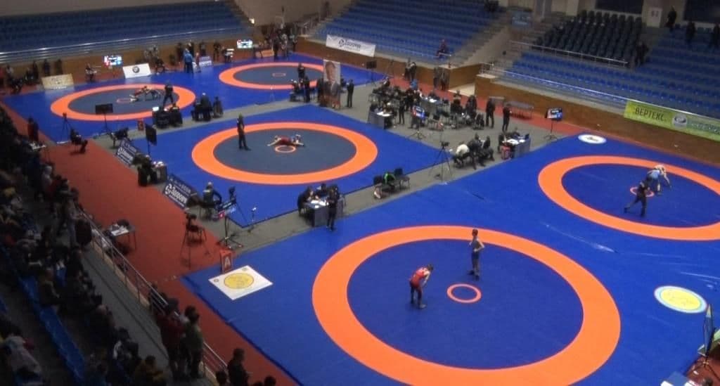 Полтавські спортсмени привезли чотири медалі з дитячого Чемпіонату України з вільної боротьби