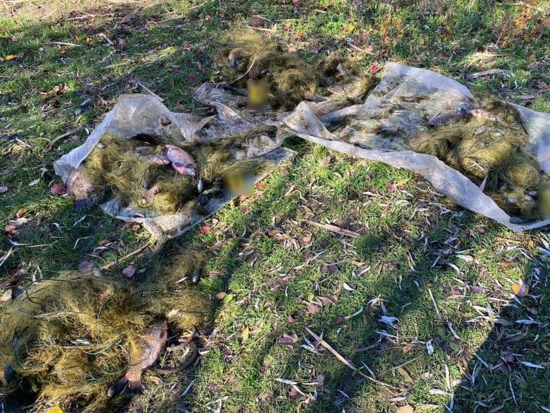 На Полтавщині браконьєр виловив риби на понад 55 тисяч гривень