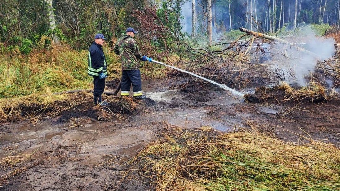 На Полтавщині три дні поспіль горить торфовище