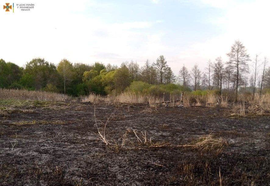 У Лубенському районі піймали 74-річного палія сухостою