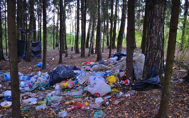 Полтавців, які смітять у лісах, притягуватимуть до відповідальності