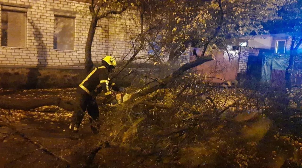 Повалені дерева та підтоплені будинки: на Полтавщині ліквідували наслідки негоди