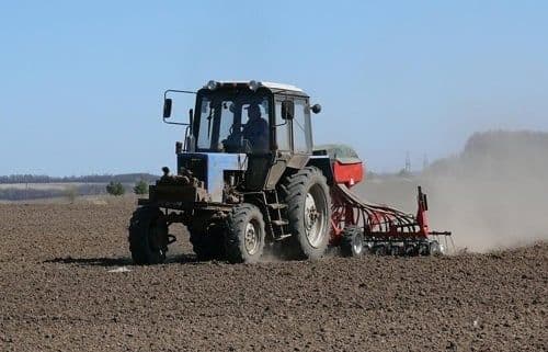 Посівна на Полтавщині у розпалі: посіяли пшеницю, горох та овес