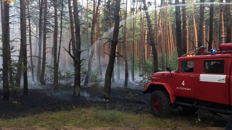 Біля Котельви рятувальники загасили пожежу в лісі
