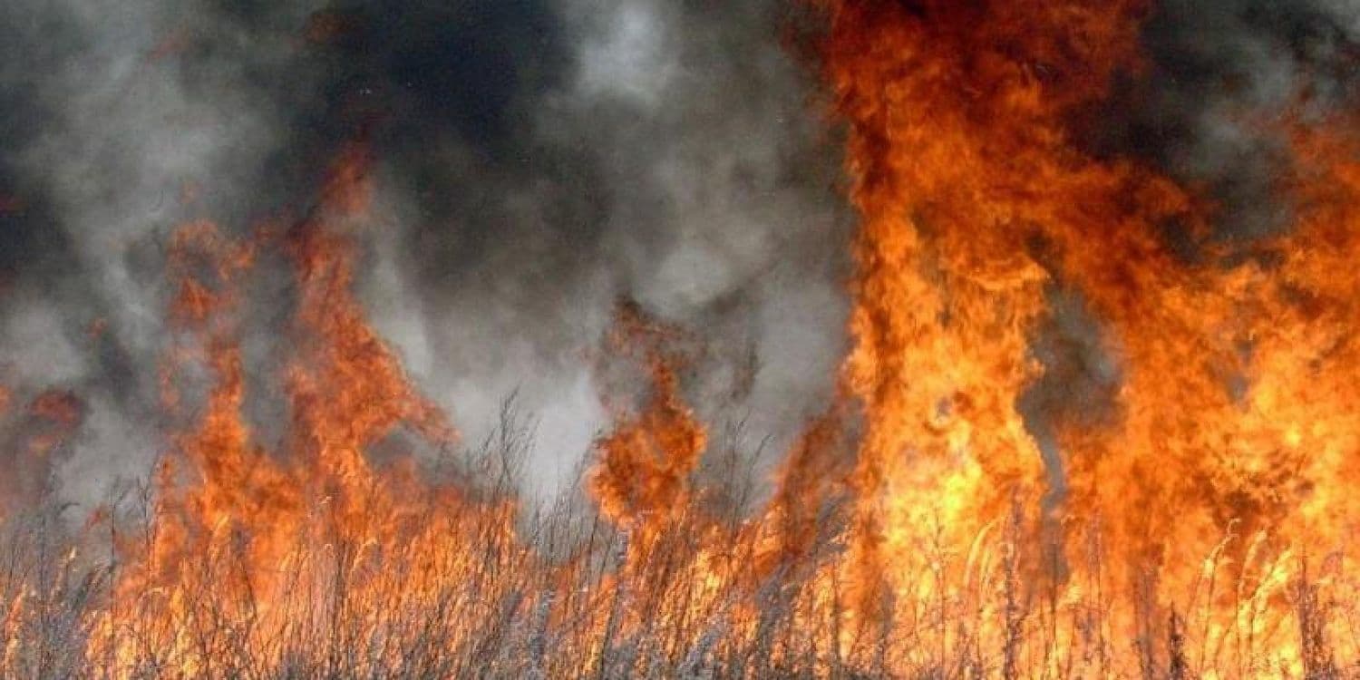 Лише за добу в області згоріло майже 47 гектарів сухої трави
