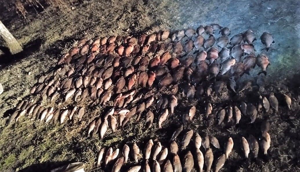 На Полтавщині судитимуть браконьєрів, які наловили риби на понад мільйон гривень
