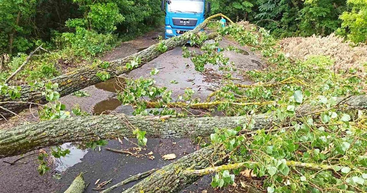 Гадячани без світла і води: наслідки негоди