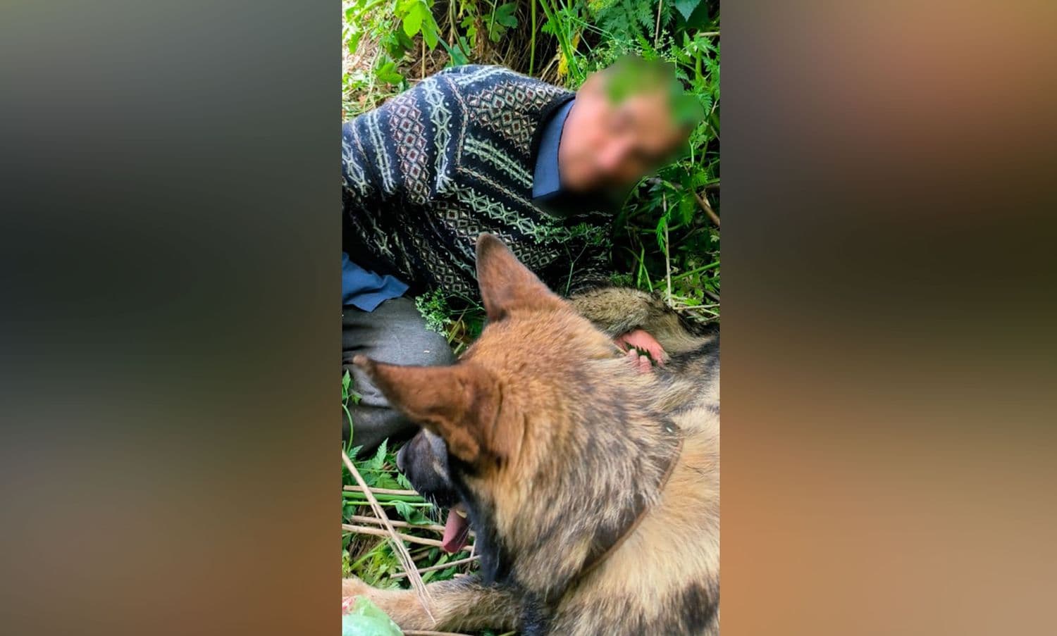 На Полтавщині поліцейський собака розшукав зниклого пенсіонера
