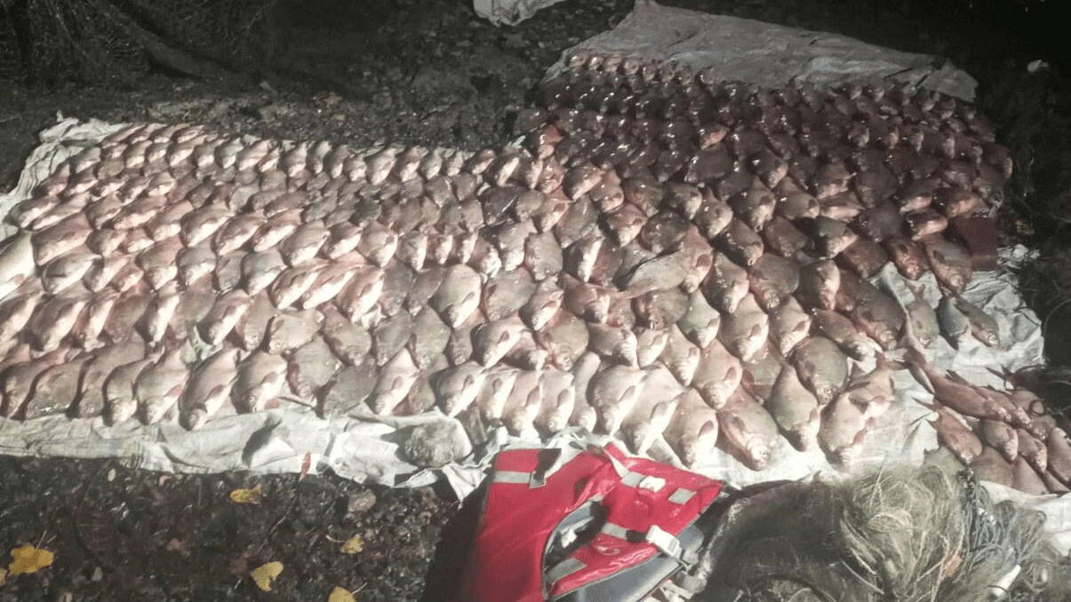 На Кременчуцькому водосховищі браконьєри виловили понад 260 кг риби