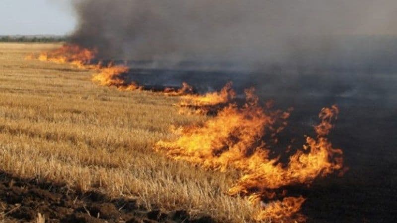 Під Гребінкою виникла пожежа на полі