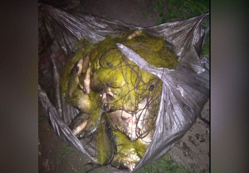 На Полтавщині зупинили браконьєра, який намагався вивезти близько 100 кг риби