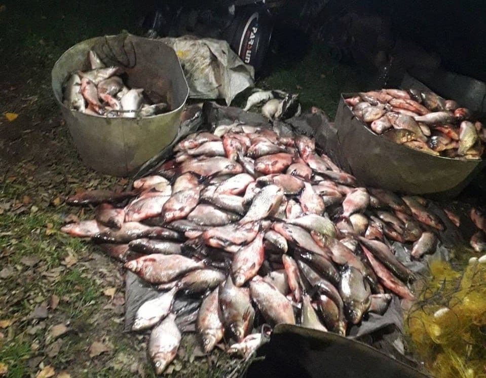 На Полтавщині браконьєр наловив риби на понад два мільйони гривень