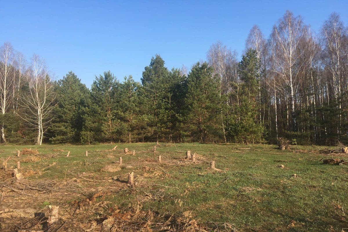 На Полтавщині чоловікові незаконно передали землю вартістю понад 19 млн грн