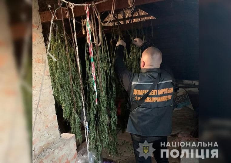 У жителя Кременчука поліція знайшла шість кілограмів канабісу