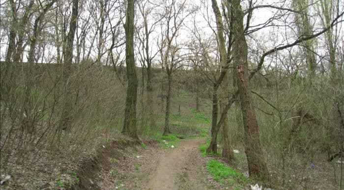 На Полтавщині зниклого 17-річного хлопця знайшли у лісі