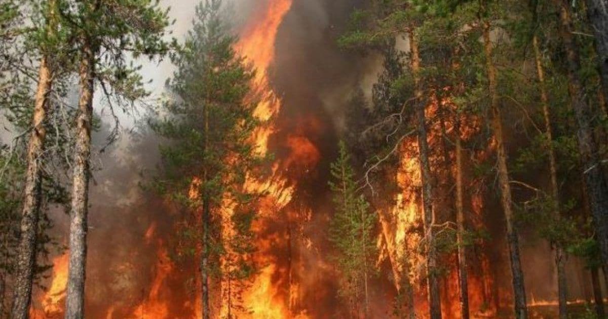 На Полтавщині встановили 5 клас пожежної небезпеки