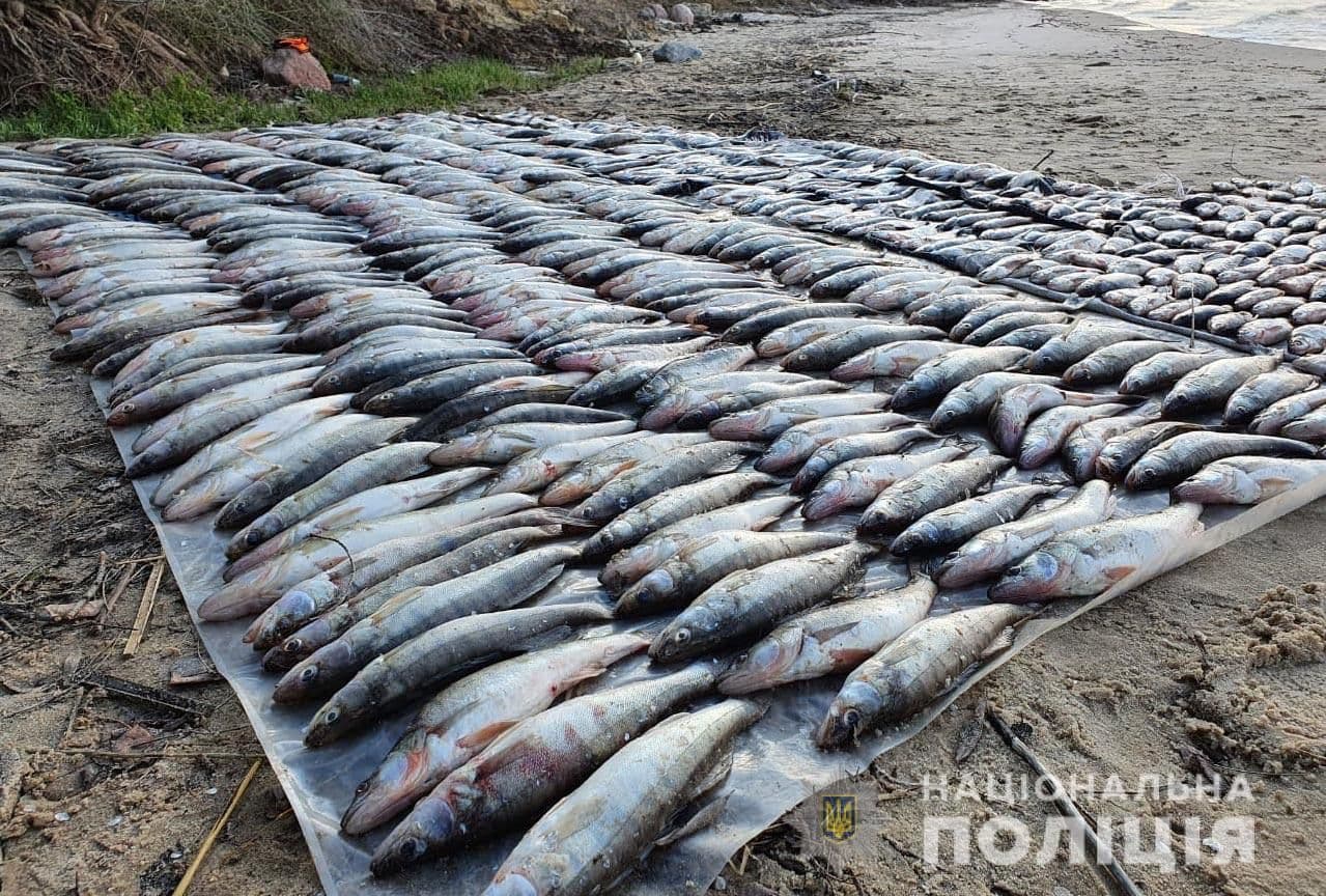 Під Кременчуком зловили чоловіка, який незаконно наловив риби на 212 тисяч гривень
