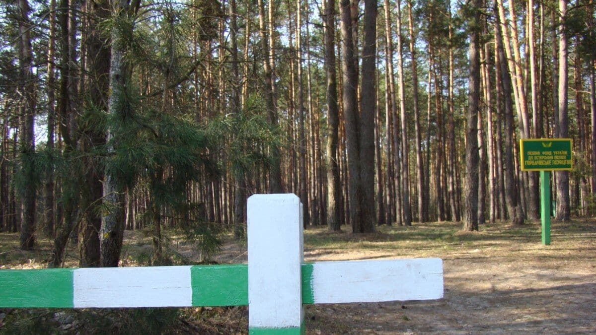 У лісах Полтавщини переважає найвищий рівень пожежної небезпеки