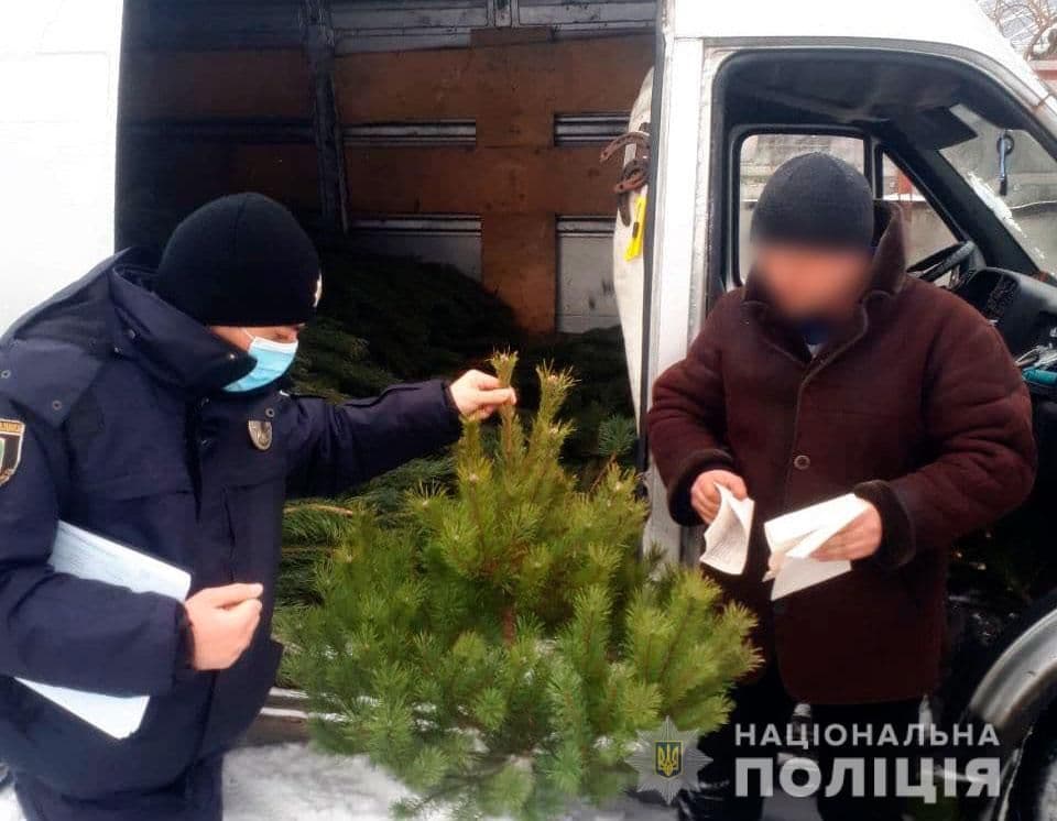 На Полтавщині зафіксували 60 порушень торгівлі ялинками