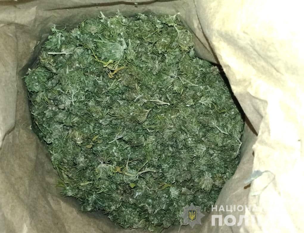 Кременчуківця затримали за зберігання та розповсюдження конопель (фото)
