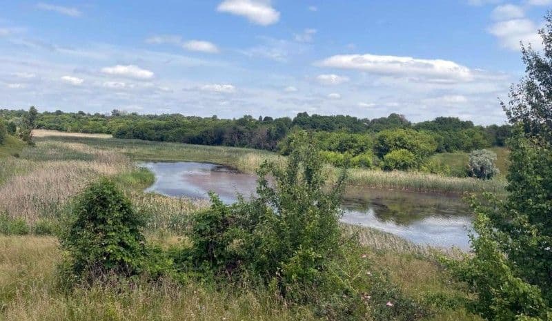 У ставку на Полтавщині знайшли мертву жінку