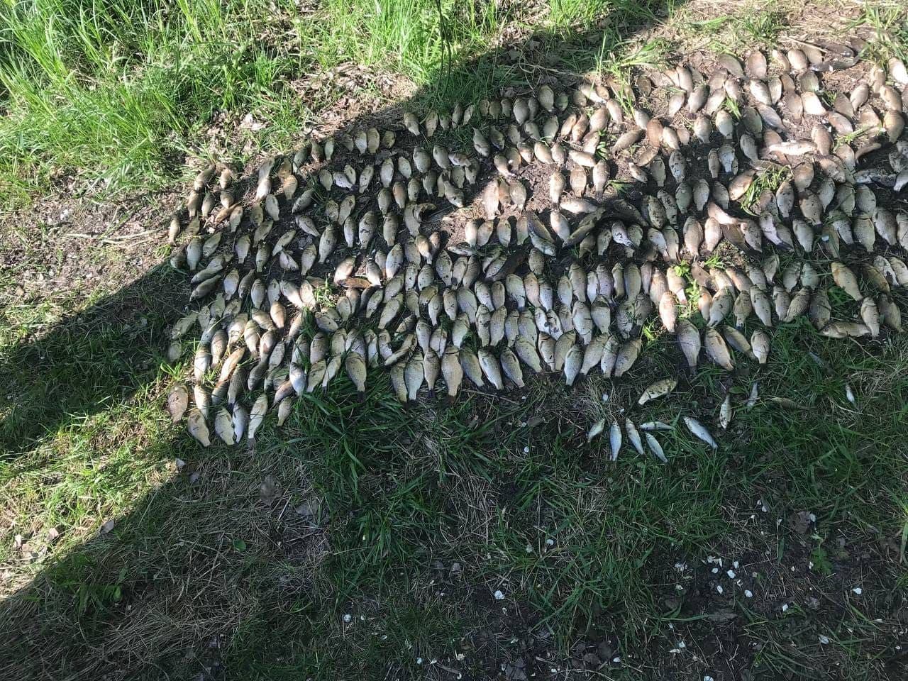 На Полтавщині спіймали рибалку з незаконним виловом на мільйон гривень