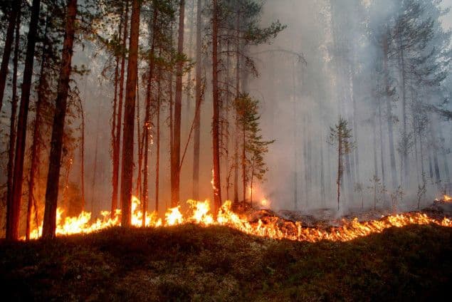 На Полтавщині оголосили надзвичайну пожежну небезпеку