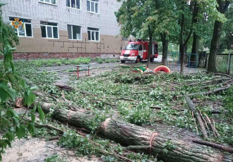 У Кременчуці на дитячому майданчику впало дерево: без потерпілих