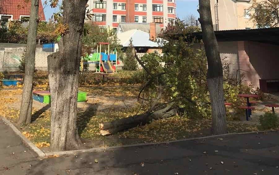 В центрі Кременчука в садочку на дітей і виховательку впало дерево