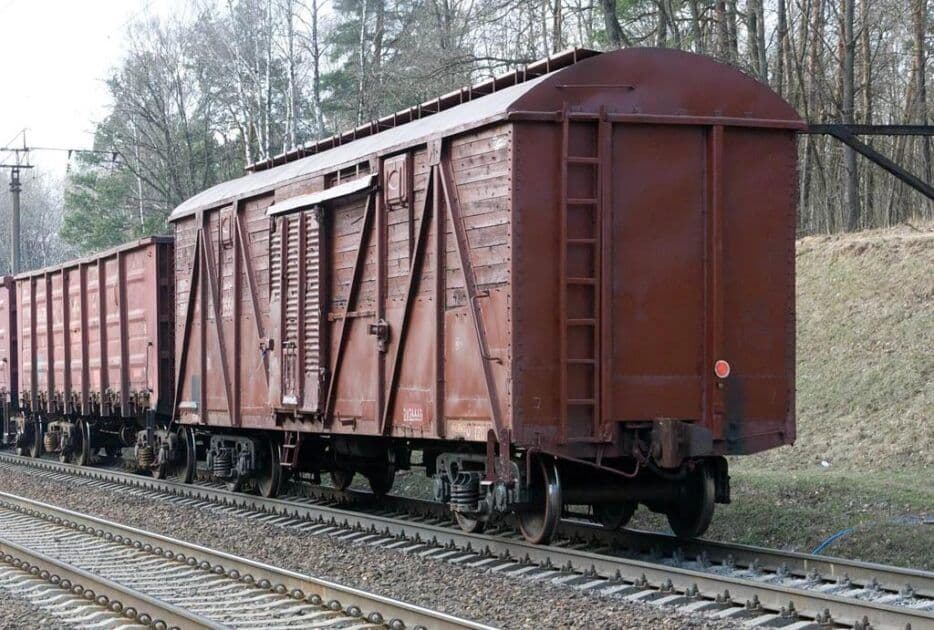 На Полтавщині жінка загинула під вантажним потягом