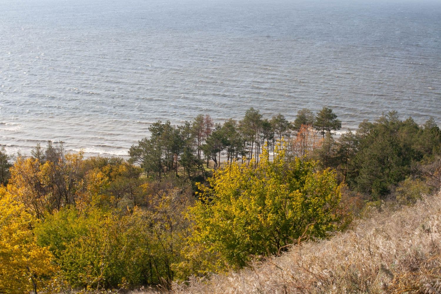 Поблизу Кременчуцького водосховища проведуть навчальні стрільби