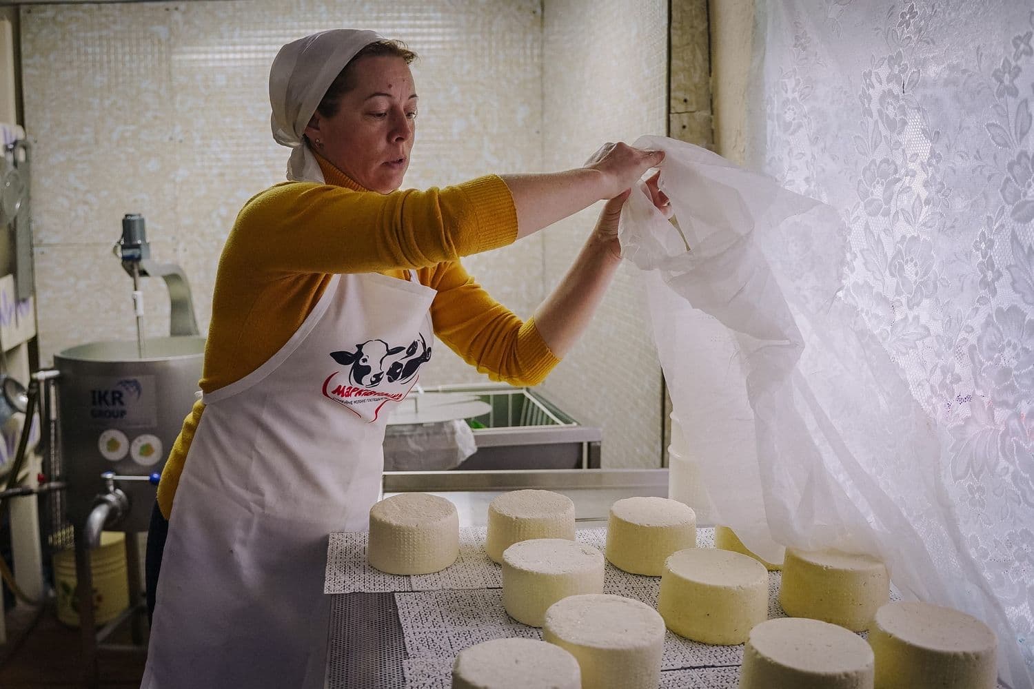 Родина переселенців з Донеччини відновила з нуля молочний бізнес на Полтавщині