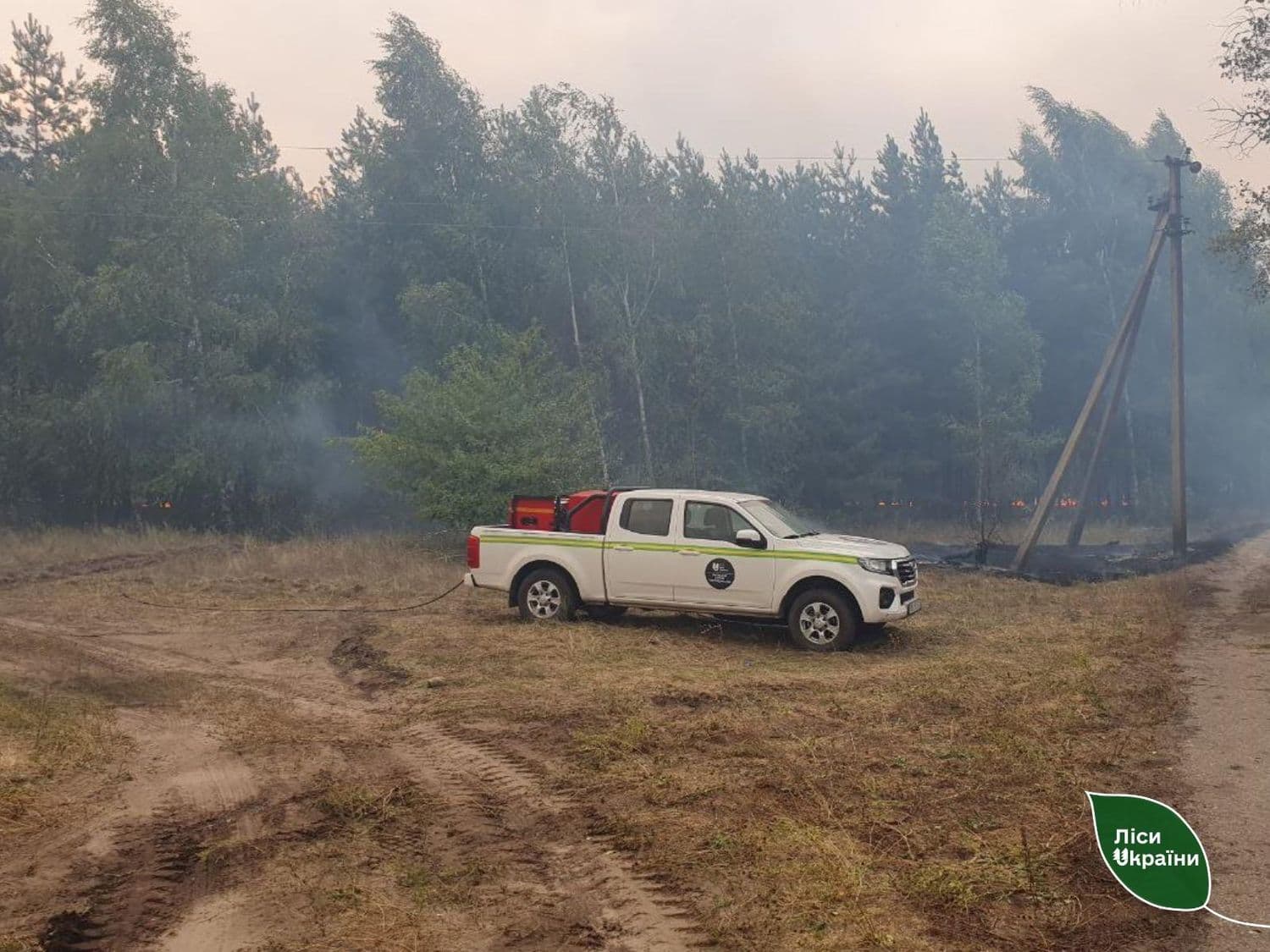 Через уламки російського дрона загорілися ліси на Полтавщині