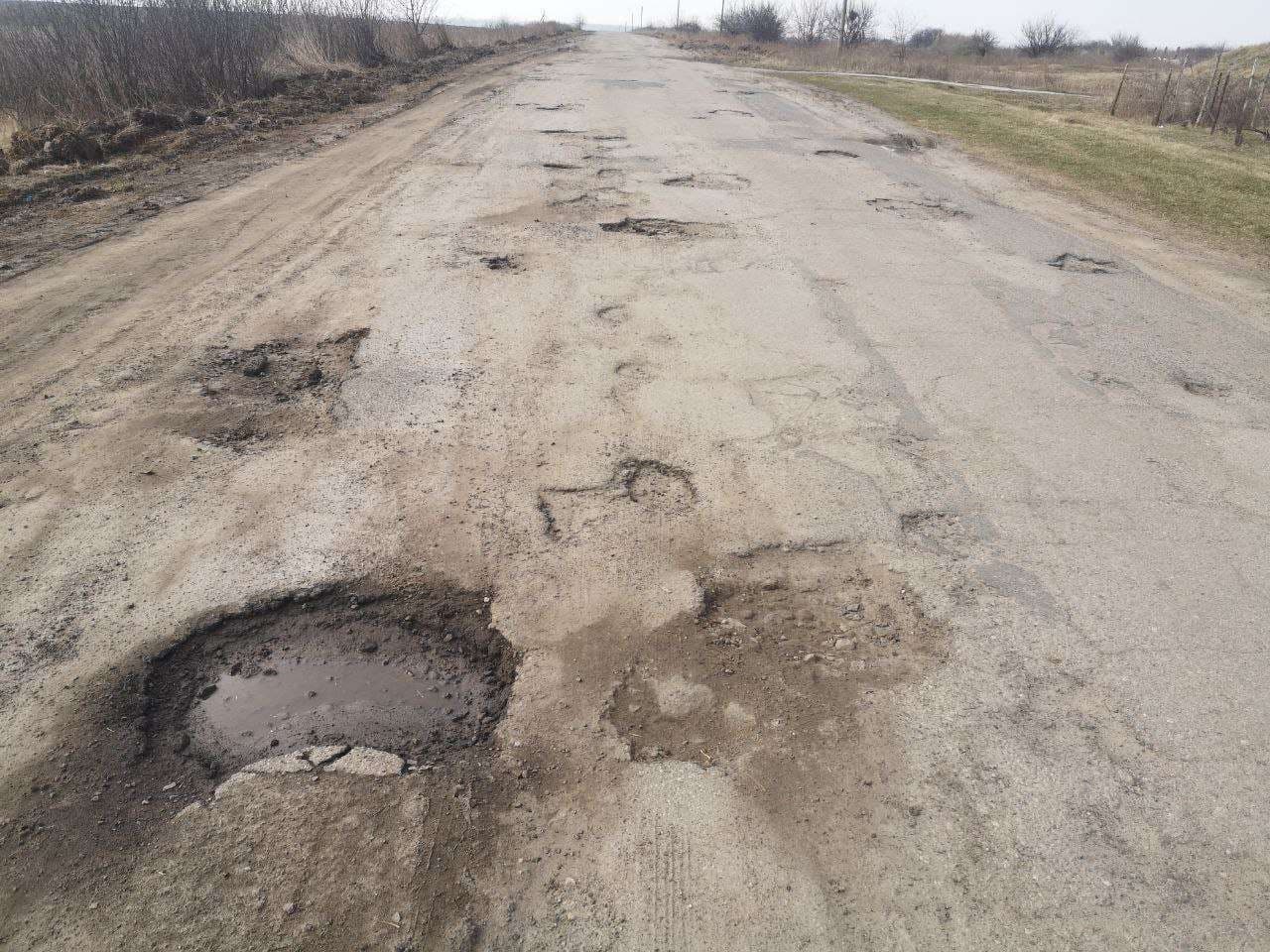 Полтавці зібрали голоси на петицію для ремонту дороги «Гожули-Біологічне»