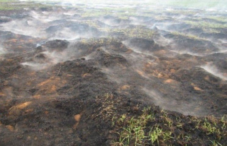 Майже тиждень на Полтавщині не можуть загасити торф'яники