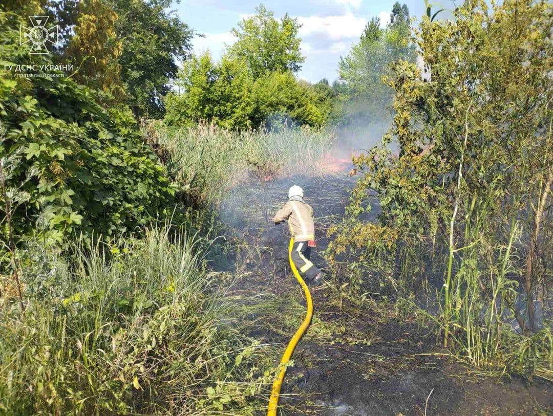 У громаді на Полтавщині вигоріло п'ять гектарів очерету