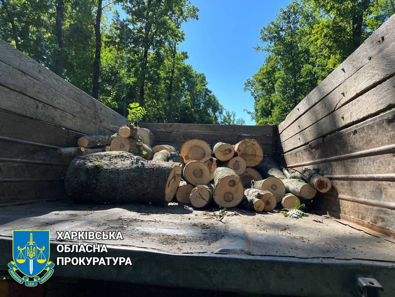На Харківщині спіймали двох жителів Полтавщини, які організували незаконну порубку лісу